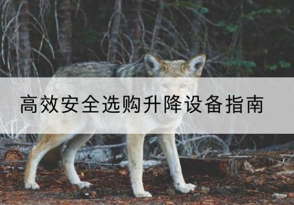 彰武升降货梯厂家推荐-*安全选购升降设备指南