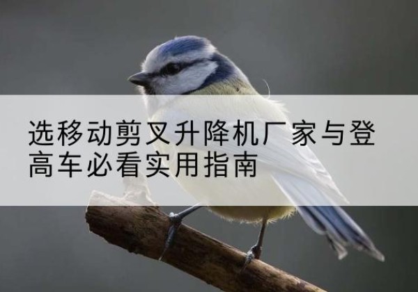 彰武电动升降机厂家-选移动剪叉升降机厂家与登高车必看实用指南