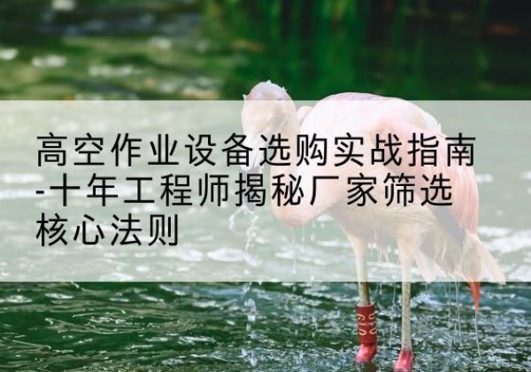 彰武剪叉式升降机厂家-高空作业设备选购实战指南-十年工程师揭秘厂家筛选核心法则
